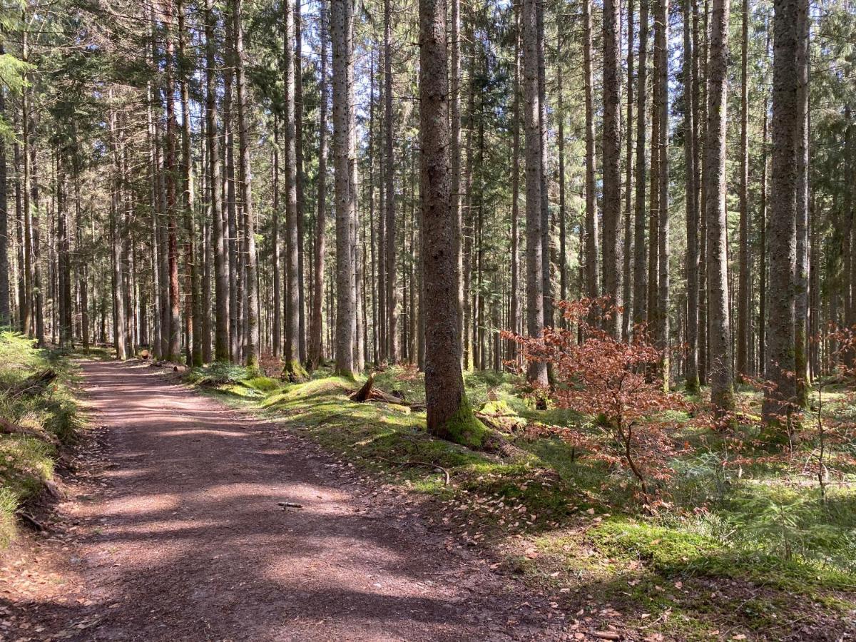 Ferienwohnung Lang - Schoene 3-Zimmer-Wohnung Bonndorf im Schwarzwald Kültér fotó